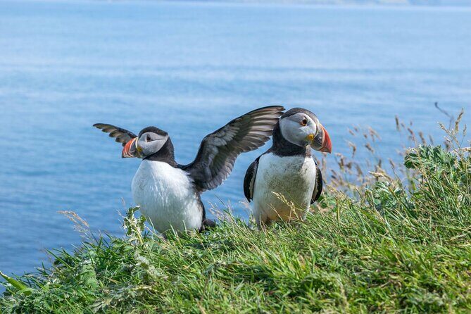 1 Day Moray Coast Tour with Speyside Whisky from Inverness - Quick hits before you go