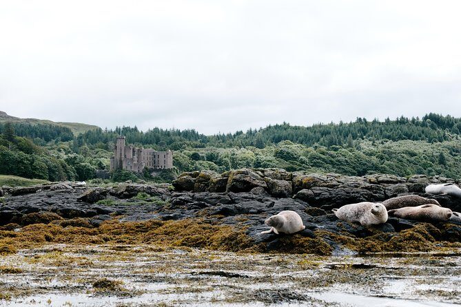 3-Day Isle of Skye, 'Hogwarts Express' Train and Highlands Tour - Who this tour suits best (and who should think twice)