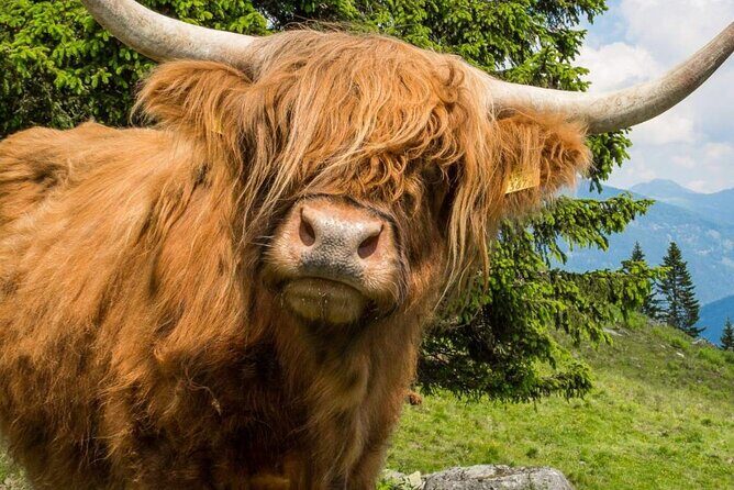 3 Day - Isle of Skye, Loch Ness & Glenfinnan Tour from Edinburgh - Entering the Highlands the easy way from Edinburgh