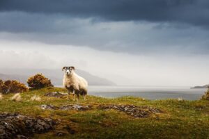 5-Day Iona, Mull and the Isle of Skye Small-Group Tour from Edinburgh - Day 1: Loch Lomond Views, Inveraray Castle Stop, and Settling Into Oban