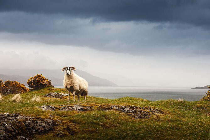 5-Day Iona, Mull and the Isle of Skye Small-Group Tour from Edinburgh - Day 1: Loch Lomond Views, Inveraray Castle Stop, and Settling Into Oban
