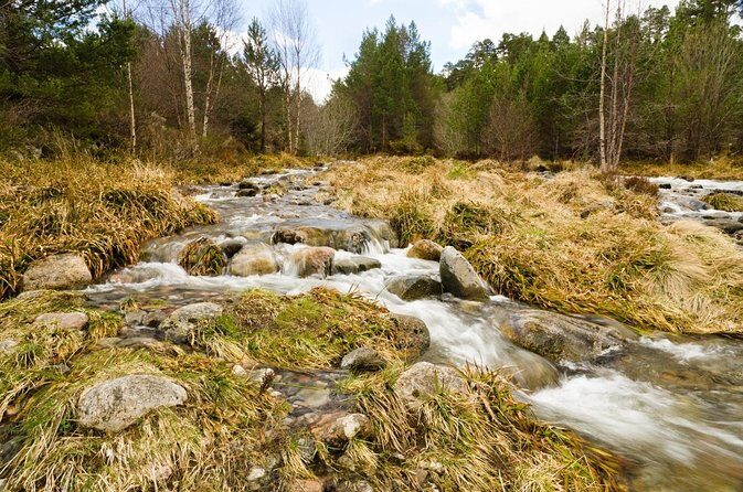 Cairngorms & Whisky Day Tour from Inverness Including Admission - Carrbridge break: Old Packhorse Bridge and a quick reset