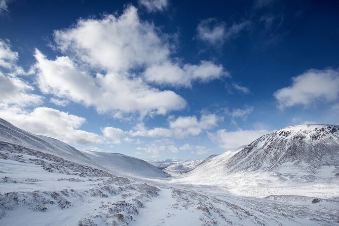 Cairngorms & Whisky Day Tour from Inverness Including Admission - How the timing feels: a full day without the stress spiral