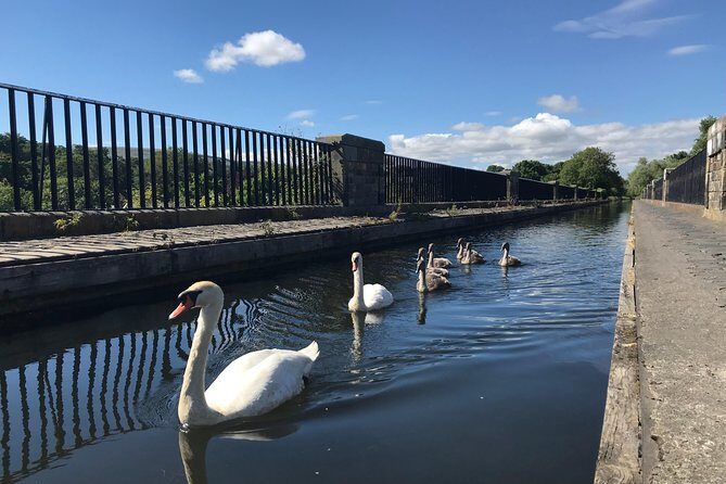 Edinburgh City Bike Tour - Choice of E-Bike or Manual - Leith: real neighborhoods, working-harbor attitude, and eclectic streets