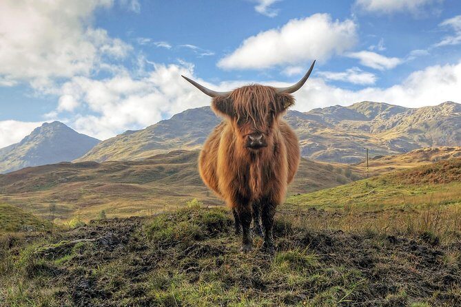 Edinburgh: Eilean Donan, Loch Ness & Glenfinnan - 2 Day Tour - From Edinburgh To The Highlands: How This Tour Actually Feels