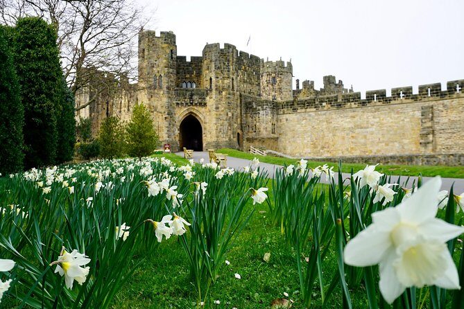 Edinburgh: Holy Island, Alnwick Castle & Kingdom of Northumbria - Price and Ticket Strategy: Where $87.34 Fits In