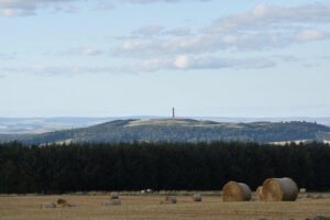 Farm Attraction - Highland Cows, Animal Feeding, Wholesome fun! - The Roman fort walk and den-building: why this is more than a farm photo stop