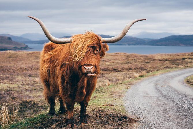 Glasgow: Isle of Skye, The Highlands and Loch Ness - 3 Day Tour - Price and value: what $235.43 buys you (and what it doesn’t)