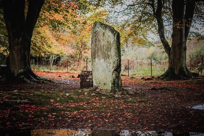 Glen Affric & Culloden Tour from Inverness Including Admissions - Clava Cairns: 4,000 Years of Stone and Unhurried Walking
