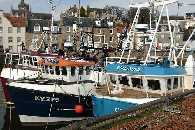 Kingdom of Fife & St Andrews Full-Day Guided Private Tour in a Premium Minivan - St Andrews Cathedral ruins and the Tom Morris connection