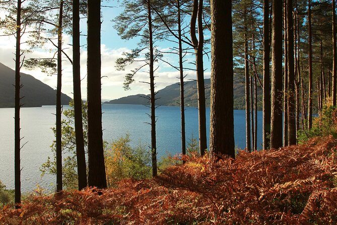 Loch Lomond, Kelpies & Stirling Castle Tour Including Admission - Should You Book This Loch Lomond, The Kelpies & Stirling Castle Day Trip?