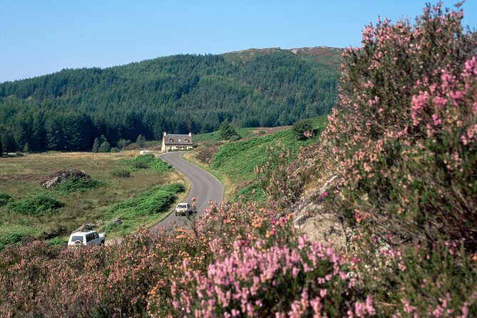 Loch Lomond National Park & Stirling Castle Full Day Tour - Key things that make this tour work