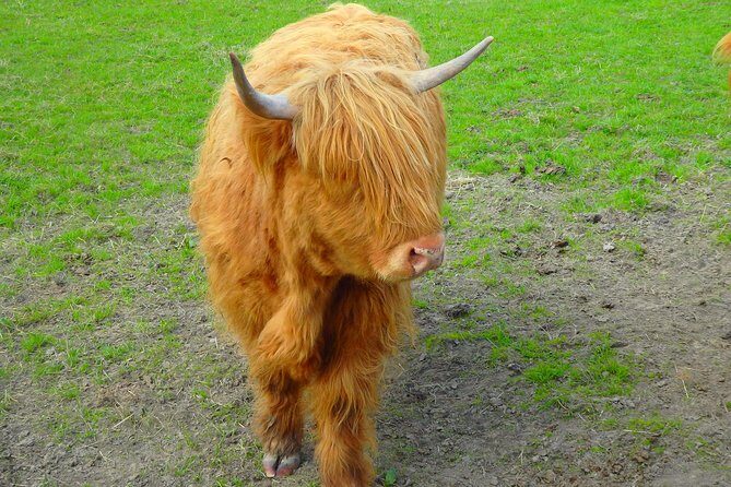 Loch Ness & Culloden Battlefield Private Tour from Inverness - Group size, guide style, and pacing (why it doesn’t feel rushed)