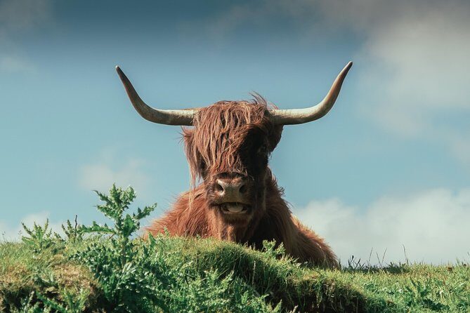 Loch Ness, Glen Coe & The Highlands Day Tour from Edinburgh - Fort William and Ben Nevis Country: Photo Moments Near the West Highland Way