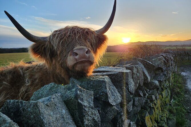 Private Tour of the Scottish Highlands from Edinburgh - The easy win: Rest and Be Thankful for big mountain photos