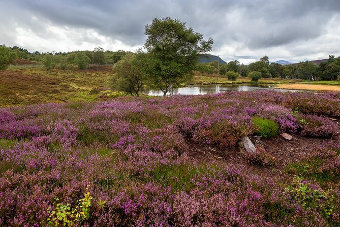 Scottish Highland Games Day Trip from Edinburgh - Weather, Rain Gear, and Comfort for Mud-Season Games
