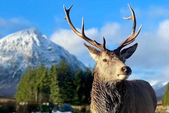Scottish Highlands, Loch Ness and Glencoe Day Trip from Edinburgh - Stirling Castle on the Return: Royal Scotland in a Photo Stop