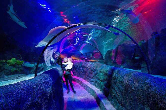 SEA LIFE Loch Lomond General Admission Ticket - General admission at Sea Life Loch Lomond: what 1.5–2 hours really gives you