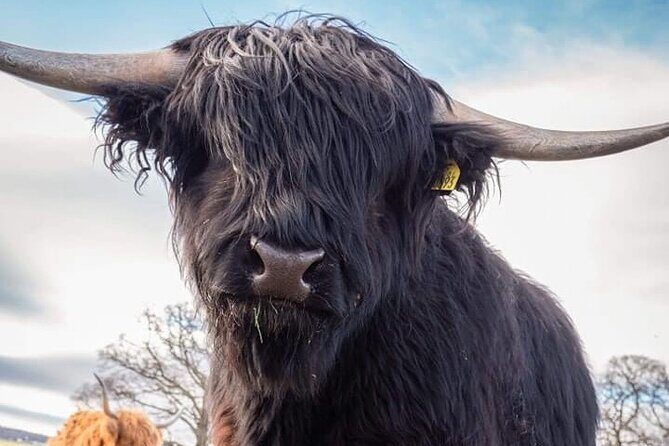 Secret Loch Ness, Inverness Castle visit, Culloden, Clava Cairns - Culloden Battlefield: where Scotland’s stories get real