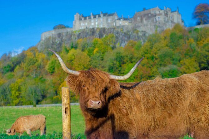Stirling Castle,Trossachs National and Loch Lomond Day Tour from Edinburgh - The Kelpies and The Helix: modern Scotland’s horse-powered tribute