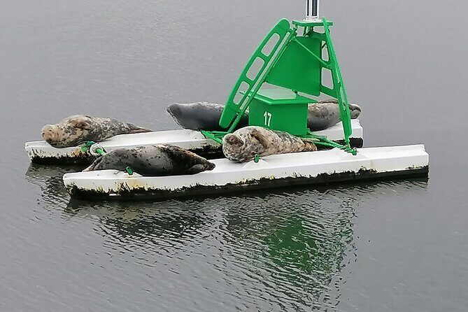 Stunning 90-Minute Firth of Forth Sightseeing Cruise Adventure - Key highlights worth booking