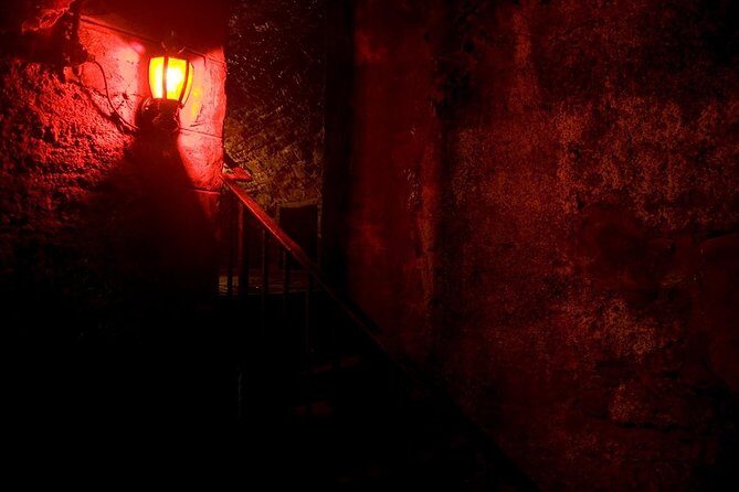 Terror Walking Tour in Edinburgh - Price and what you get for about $36